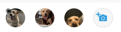 Remove_Picture.jpg