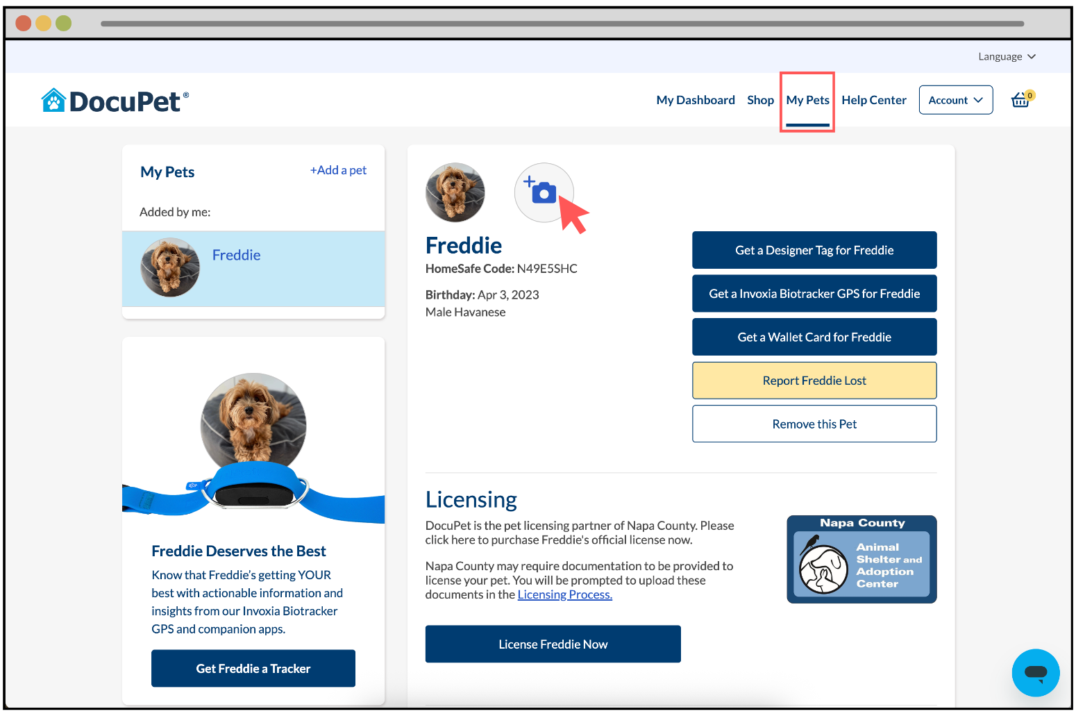 How do I add or remove a photo of my pet? – DocuPet